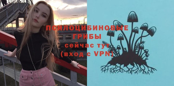 а пвп мука Аркадак