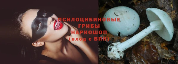 а пвп мука Аркадак