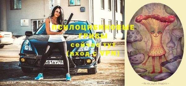 меф Арсеньев