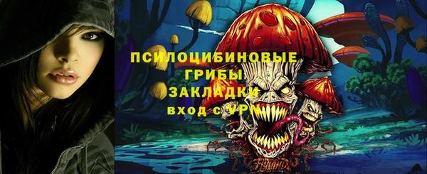 меф Арсеньев