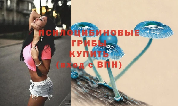 меф Арсеньев