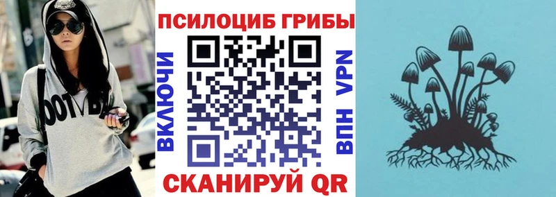 продажа наркотиков  Белгород  Галлюциногенные грибы прущие грибы 